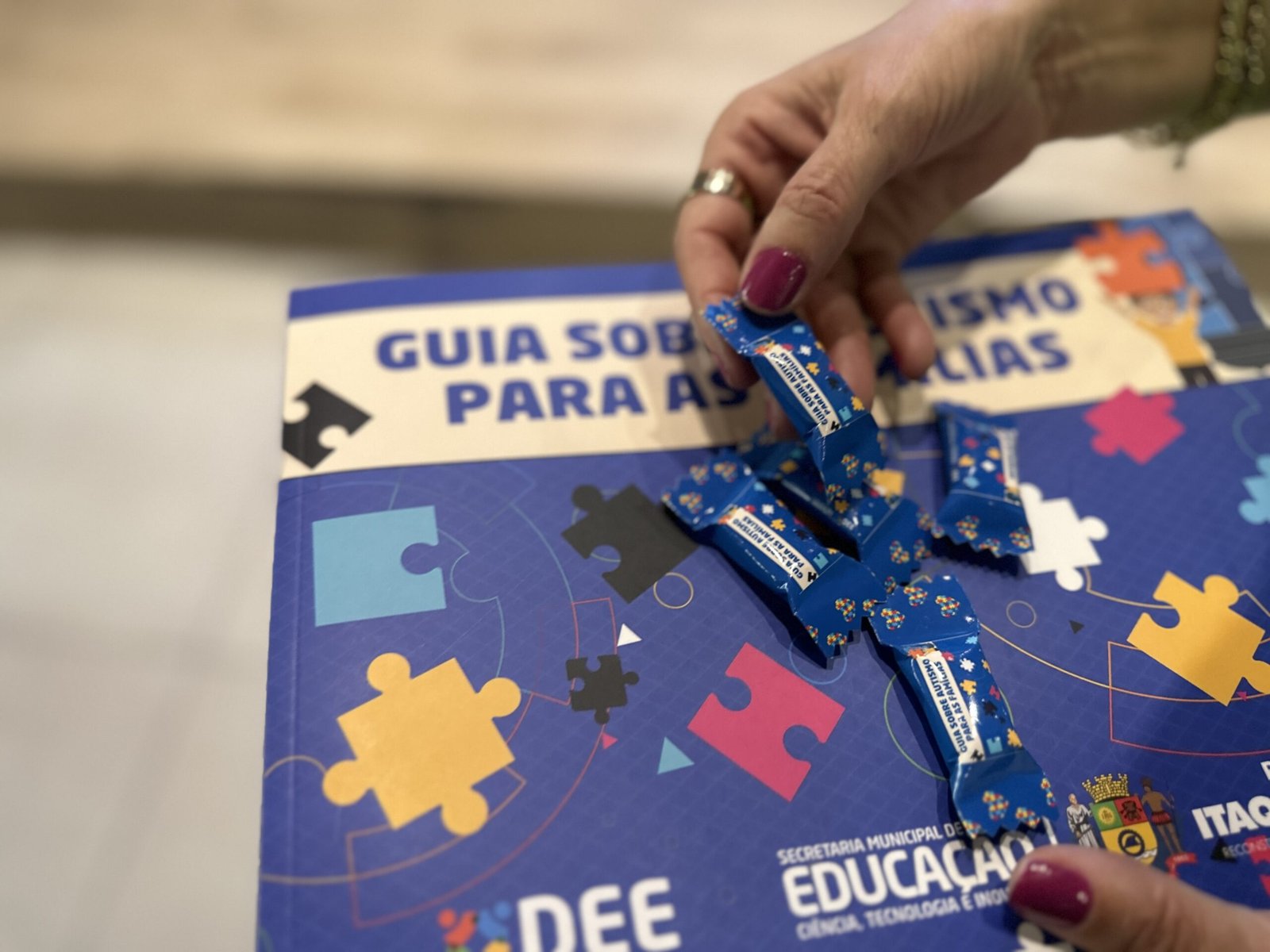 LANÇAMENTO DO “GUIA SOBRE AUTISMO PARA AS FAMÍLIAS”