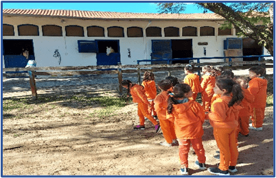 As Múltiplas Linguagens de Aprendizagem