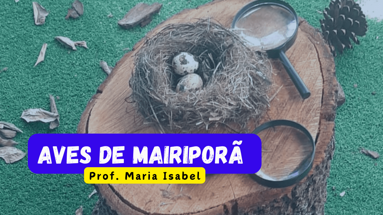 AVES DE MAIRIPORÃ